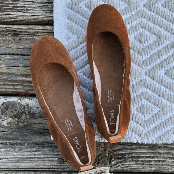 toms dark amber suede